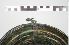 Foto von Bronzerippenziste (NHMW-PRAE-025462)